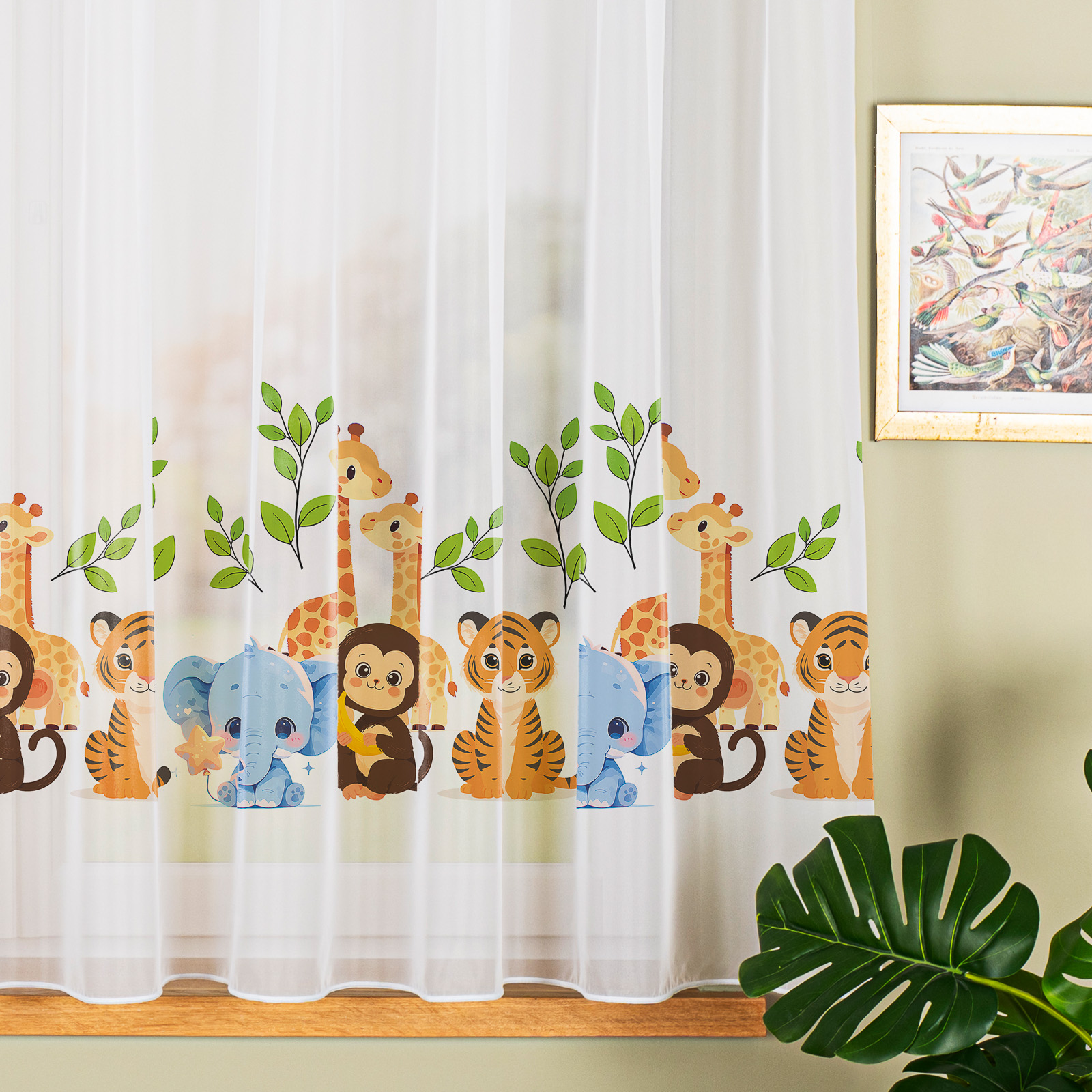 nico.jpeg